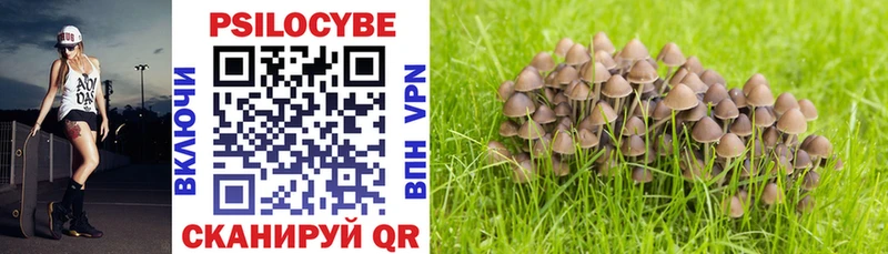 Псилоцибиновые грибы MAGIC MUSHROOMS Порхов